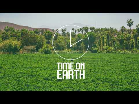 The Trees and The Wild - Verdure