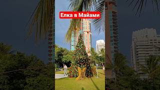 Елка в Майами #miami #cruisetour #umarkeyn #travel