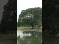 Sunaina In Nazaron Ko Tum Dekho Romantic Song Videoviral Trendingshhort