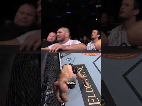 Хабиб в углу — легальный чит код! Согласны? 😀