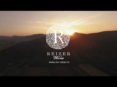 Reizer Wine - Harvesting season (Elkezdődött a szüret)