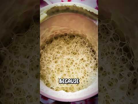 The Secret Life Of Your Favorite Bread 🤯