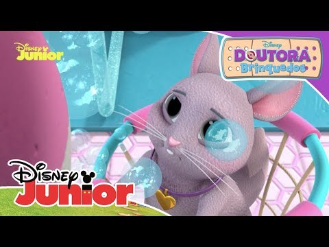 Doutora Brinquedos - Resgate de Animais: Dia do SPA da Chinchila