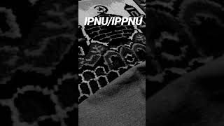 Download lagu Sa'duna Fiddunya #sadunafiddunya #sholawat #sholawatnabi #ipnu #ippnu #ipnuippnu mp3