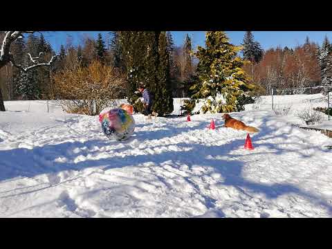 WTWL Match# 9 Level A Sandrine & Shaunak