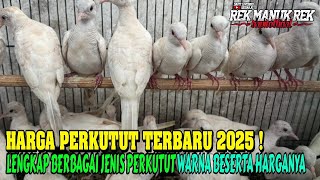Download lagu HARGA PERKUTUT TERBARU 2025 !!! LENGKAP BERBAGAI JENIS PERKUTUT WARNA BESERTA HARGANYA mp3
