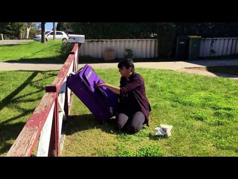 Why we are unfriending Leanne - cat ueine removal from luggage