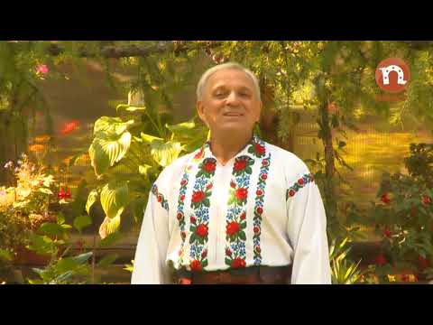 Constantin Rotaru - Ridicati paharul sus