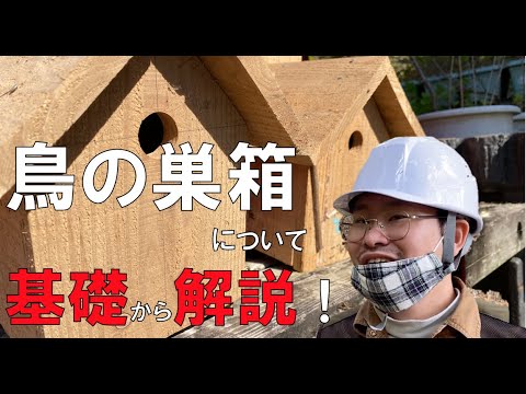 コマドリの巣箱を簡単に作る方法は？知っておくべきことはすべて！  庭園