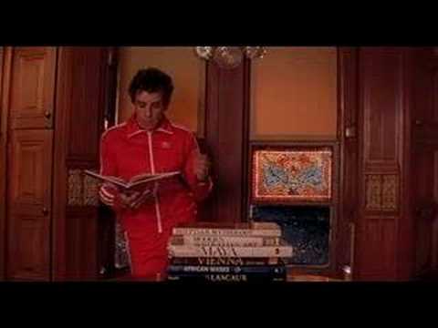 Los Excéntricos Tenenbaum