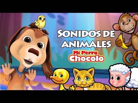 MI PERRO CHOCOLO APRENDE - SONIDOS DE ANIMALES