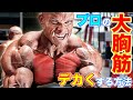 トッププロが実際行う大胸筋トレーニングルーティン【筋トレ】