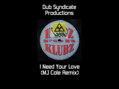 Dub Syndicate - I Need Your Love (MJ Cole Remix)