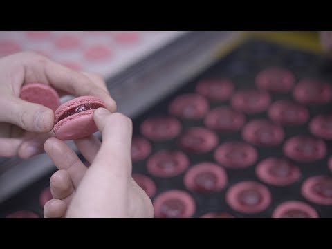 Le secret des Macarons fin - Maison Alsacienne de Biscuiterie