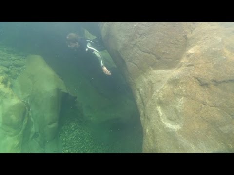 Swimming The Fairy Pools Of Skye