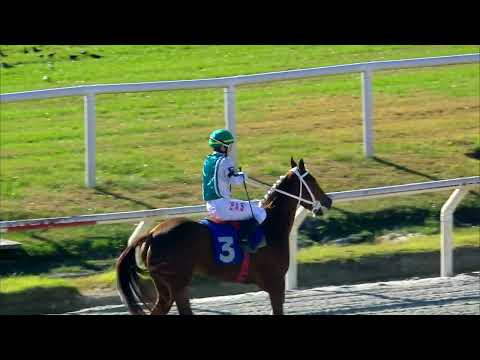 220618 c03 D Torterolo