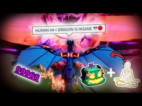 HUMAN V4 + DRAGON (WEST) is Literally INF DAMAGE... 💀 (Bloxfruits)