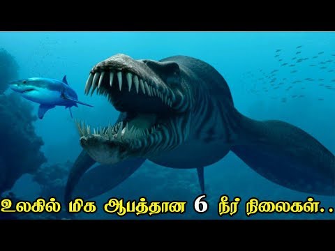 download lagu mp3 mp4 Tamil Talk, download lagu Tamil Talk gratis, unduh video klip Tamil Talk