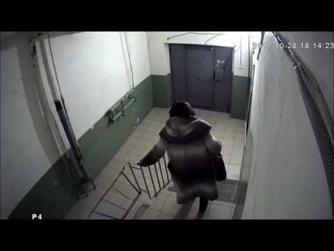 Веселые соседи из Челябинска