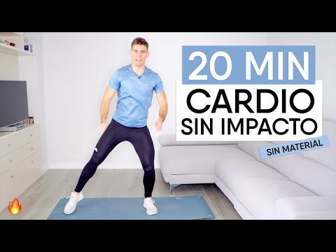 NO-IMPACT Cardio for WEIGHT LOSS in 20 min | Low-impact weight loss exercises