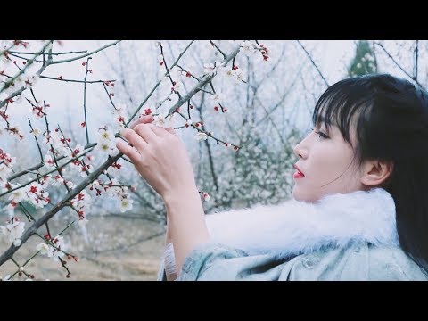 download lagu mp3 mp4 Pigeon Soup, download lagu Pigeon Soup gratis, unduh video klip Pigeon Soup