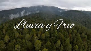 Lluvia y Frio | Bosque Santuario de las Luciernagas | DJI FPV