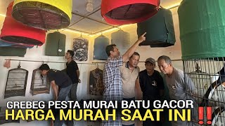 Download lagu TERJADI LAGI ! PESTA MURAI BATU GACORAN MURAH SAAT INI TERLARIS DI KEMAYORAN JAKARTA PUSAT  mp3
