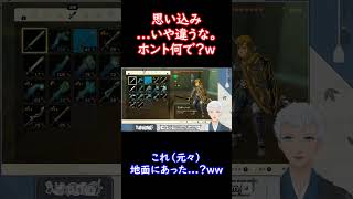 【ゼルダの伝説ティアーズオブザキングダム】見知らぬ棒。#Shorts