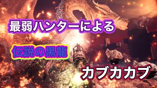 最弱ハンターによる無謀にも黒龍装備使わずミラボレアス討伐