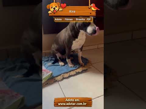 Vídeo de Kira