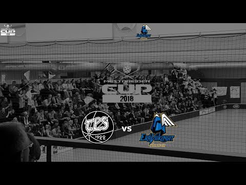 TPS - Eräviikingit (D06) FINAALI