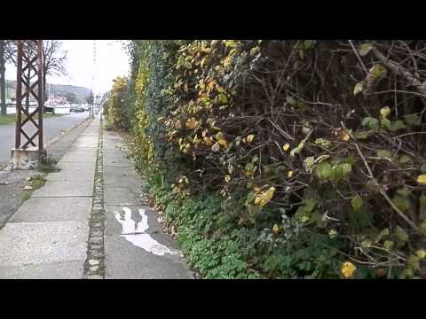 MongoTV_148 - Vandretur Langs Kongevejen Med Gamle Fede Olsen