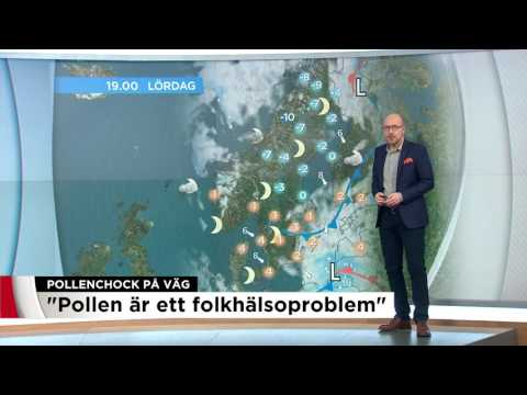Väderprognos för pollenallergiker - Nyheterna (TV4)