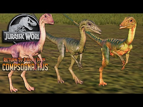 ALL COMPSOGNATHUS SKINS, ANIMATIONS, KILLS & BREAKOUT! | Return to Jurassic Park | Jurassic World