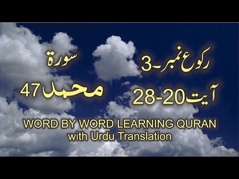 Surah-47 Muhammad Ayat No 20 – 28 Ruku No - 3 Word by word learning Quran in video in 4K