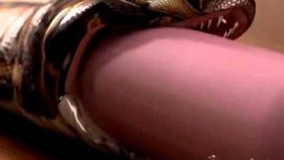 Voreville Snake Vore Animation Camera & Materials Test