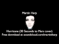 Martin Harp - Hurricane (30 Seconds To Mars cover ...