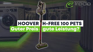 Günstig und gut? Der Hoover H-Free 100 PETS Akkustaubsauger