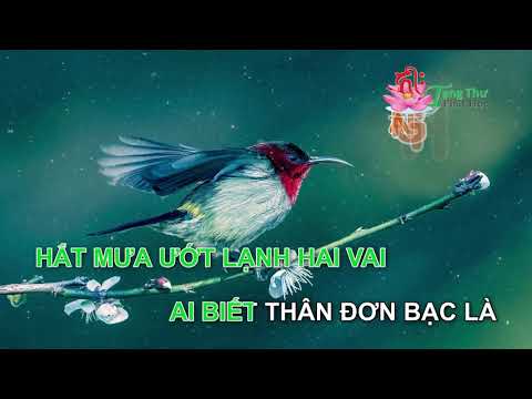 Hài Cỏ Đạp Trăng Vàng (1)