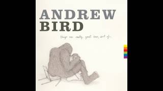 Andrew Bird - Giant of Illinois