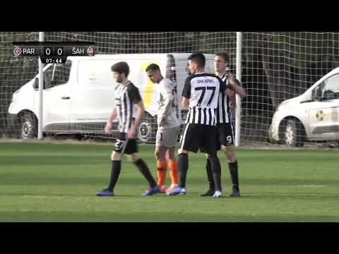 Partizan Sahtjor Donjeck 1-0 Nemanja Nikolic