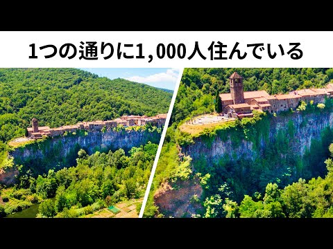 園芸 Lysimachus numularis、Herbe aux écus