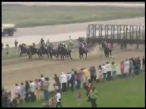 Srpski Trial Stakes 2011 - Ivo Džima (št "Antilop" - Šabac)