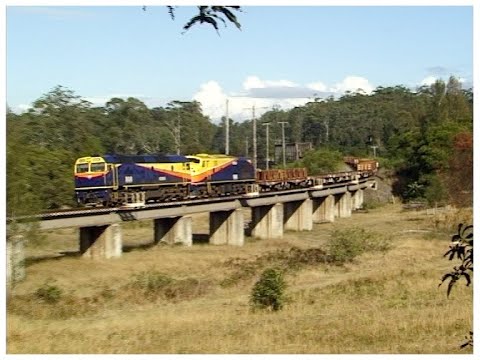 Australian diesel locomotives 42206 & streamliner 42109 - Kendall to Kempsey - July 2001
