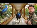 Private Tour Of An Indian Billionaire S Secret Bird Sanctuary