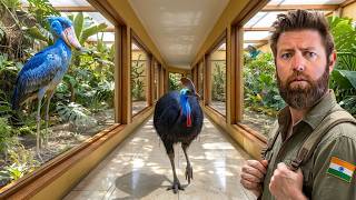 Download lagu Private Tour of an Indian Billionaire’s Secret Bird Sanctuary mp3 Download lagu Private Tour of an Indian Billionaire’s Secret Bird Sanctuary mp3