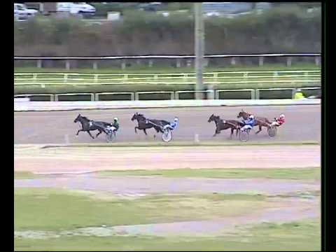 Trotto 15/02/2015 - 2° Prova di riqualifica