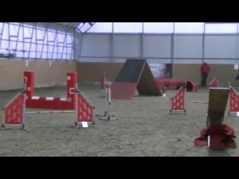 Sedliště trojzkoušky agility 5.12.2015 Zkouška 3 - Bára a Ara