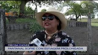 Miniatura do vídeo