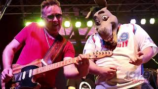 Jerrod Niemann donkey